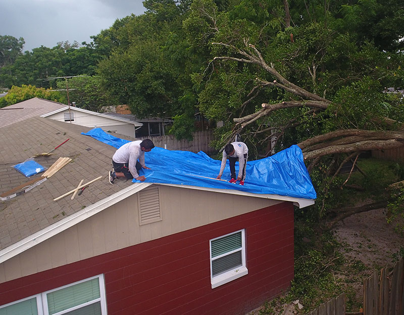 roofers covering home with a tarp after a tree fell on the home