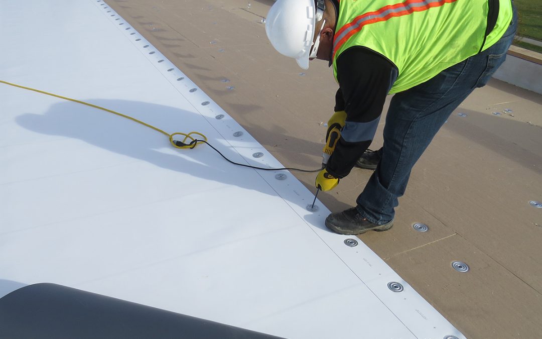 Routine Maintenance Tips for TPO Roofs in Tampa