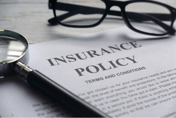 Insurance Policy PLP